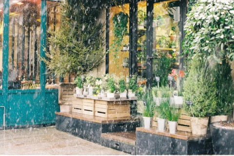 4 Vật Dụng Cần Thiết Cho Chuyến Đi Du Lịch Mùa Mưa